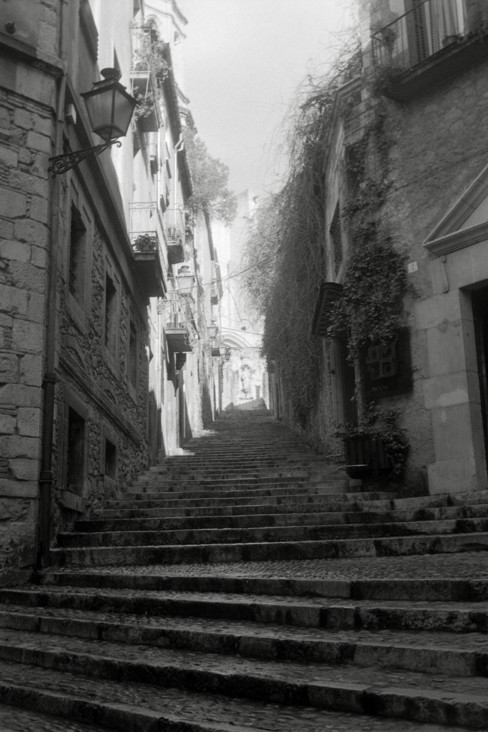 AHP F1996 02 001 sc240816 img12 NLP